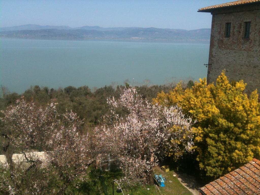 Ascanio Appartamenti Castiglione del Lago Exteriér fotografie